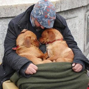 These faithful dogs stay close to their homeless owners, providing constant love and loyalty.