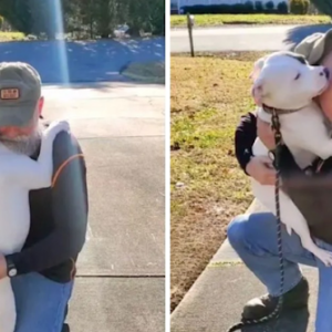 Rescue Dog Meets Her New Dad and Can’t Stop Hugging Him