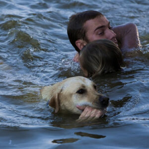 The fearless dog jumped into the turbulent river without hesitation, rescuing its owner and becoming a local hero celebrated by everyone